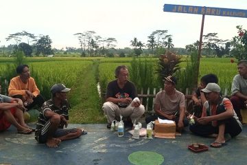 Kelompok Tani di Desa Maleber Ikuti Sosialisasi Penggunaan Pupuk Produksi KP2M